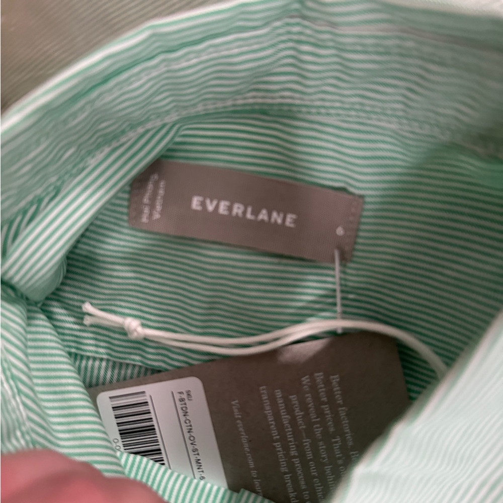 Everlane The Silky Cotton Relaxed Long Sleeve Button Down Shirt in Mint Green - Picture 5 of 5